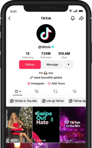 SaveFrom.net's TikTok mp4 downloader
